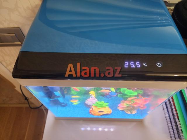 Akvarium və ballqlar