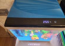 Akvarium və ballqlar