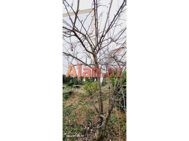 Mərdəkanda bağ evi satılır