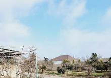 Buzovnada torpaq sahəsi satılır