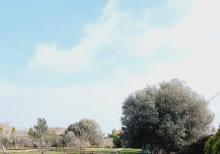 Buzovnada torpaq sahəsi satılır