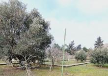 Buzovnada torpaq sahəsi satılır