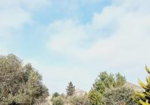 Buzovnada torpaq sahəsi satılır