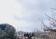 Buzovnada torpaq satılır