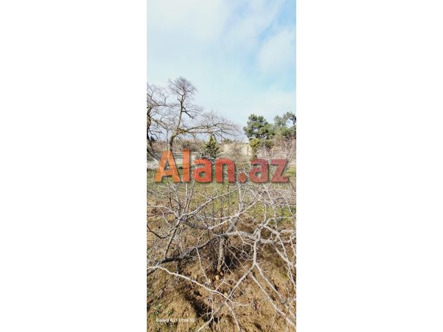 Buzovnada torpaq satılır