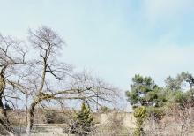 Buzovnada torpaq satılır