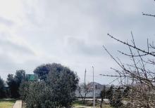 Buzovnada torpaq satılır