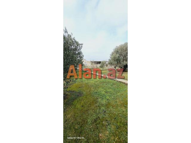 Buzovnada torpaq satılır