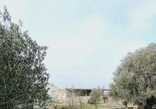 Buzovnada torpaq satılır