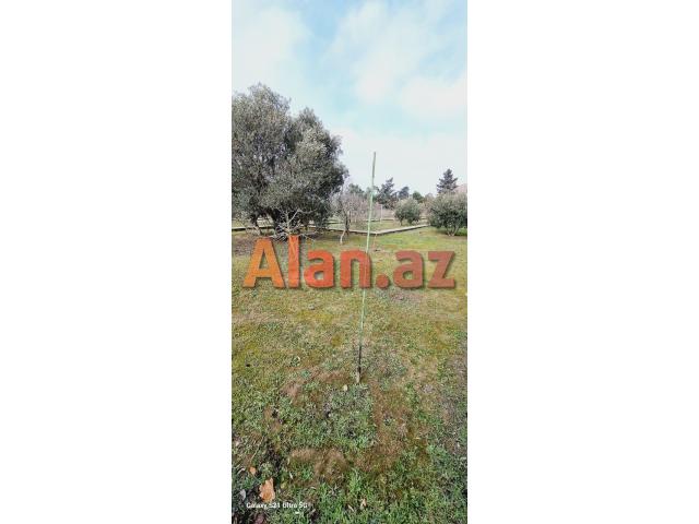 Buzovnada torpaq satılır