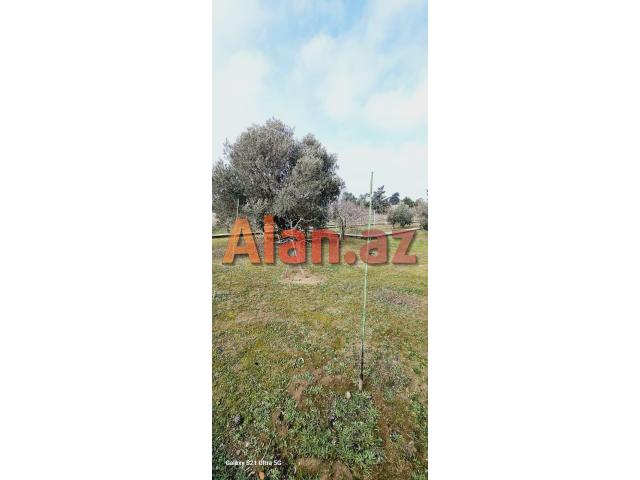 Buzovnada torpaq satılır