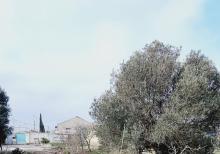 Buzovnada torpaq satılır