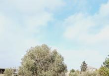 Buzovnada torpaq satılır