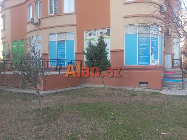 İngilis dili uzrə onlayn kurs