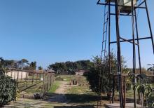 Mərdəkan-Zaqulba yolunda torpaq sahəsi