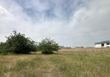 Pirşağıda 16 sot torpaq satılır