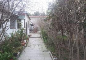 Torpaq Həzi aslanov