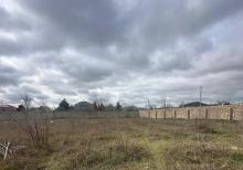 Buzovnada torpaq sahəsi satılır