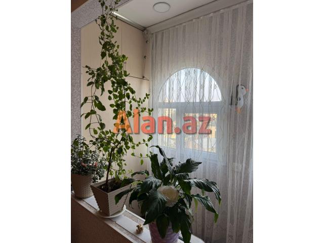 Nizami rayonu Qara Qarayev