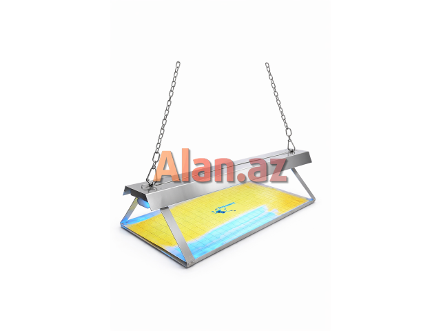 Yapışkanlı milçək tələsi