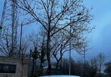 Maşın yaxşı vəziyyətdədir