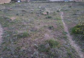 Maştağada torpaq sahəsi satılır