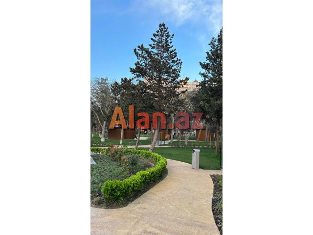 3 otagli kiraye ev Nerimanov