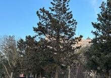 3 otagli kiraye ev Nerimanov