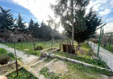 Buzovnada torpaq satılır