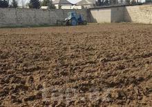 Nardaranda sea birzden 3 km aralı məsafədə