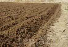 Nardaranda sea birzden 3 km aralı məsafədə