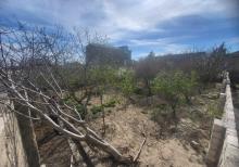 Buzovna Albalılıqda torpaq  satılır