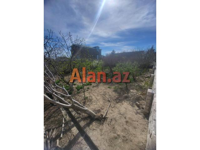 Buzovna Albalılıqda torpaq  satılır