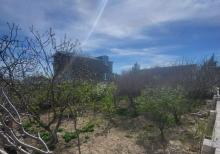 Buzovna Albalılıqda torpaq  satılır