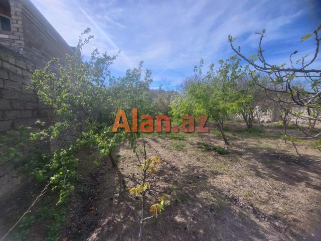 Buzovna Albalılıqda torpaq  satılır