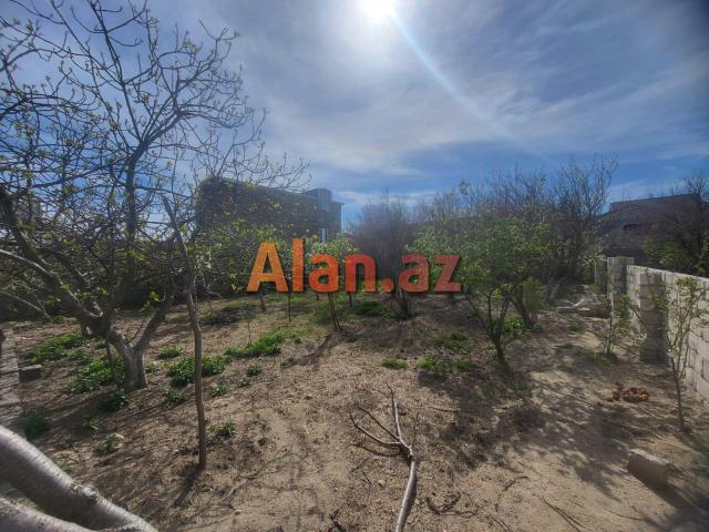 Buzovna Albalılıqda torpaq  satılır