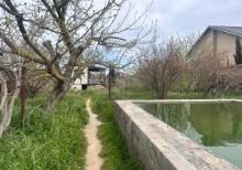 Albalılıqda torpaq sahəsi satılır