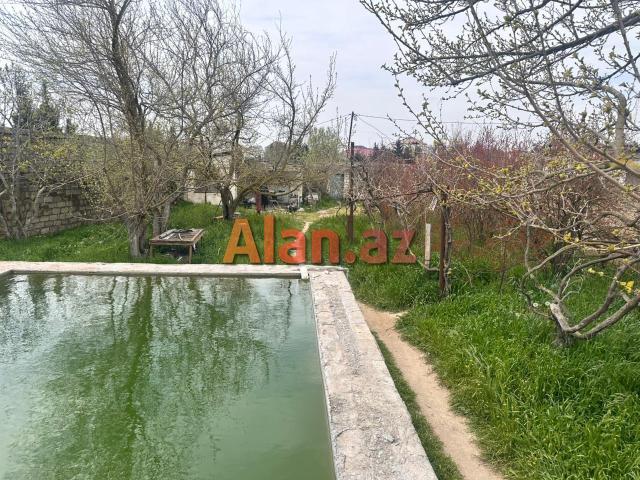 Albalılıqda torpaq sahəsi satılır