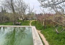 Albalılıqda torpaq sahəsi satılır