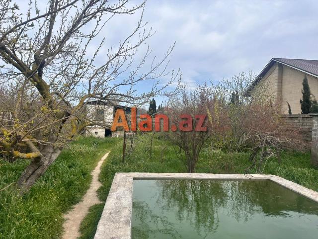 Albalılıqda torpaq sahəsi satılır