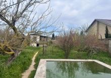 Albalılıqda torpaq sahəsi satılır