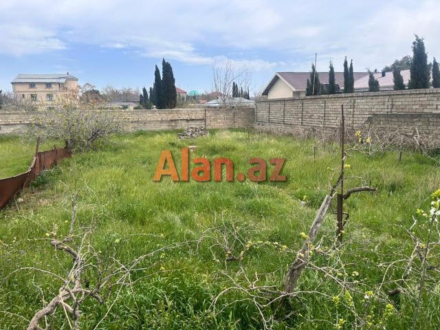 Albalılıqda torpaq sahəsi satılır