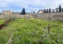 Albalılıqda torpaq sahəsi satılır