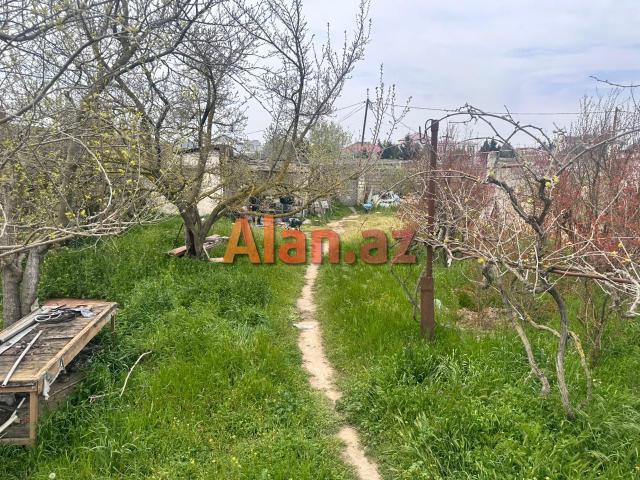 Albalılıqda torpaq sahəsi satılır