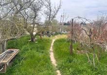 Albalılıqda torpaq sahəsi satılır