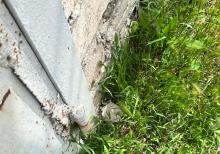 Albalılıqda torpaq sahəsi satılır