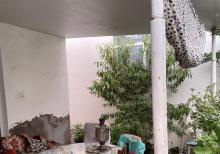 Bilgəhdə həyət evi satilir