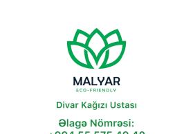 Malyar Oboy Ustası