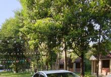 Toyota prius 30w