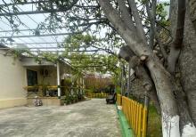 Şüvəlanda bağ evi satılır